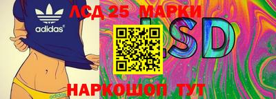 молекула духа Партизанск