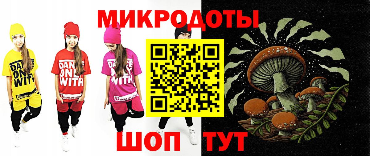 Сергиев Посад  Галлюциногенные грибы Psilocybine cubensis  Вход с VPN 